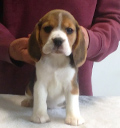 Martina Girl 1 Front 8 Weeks